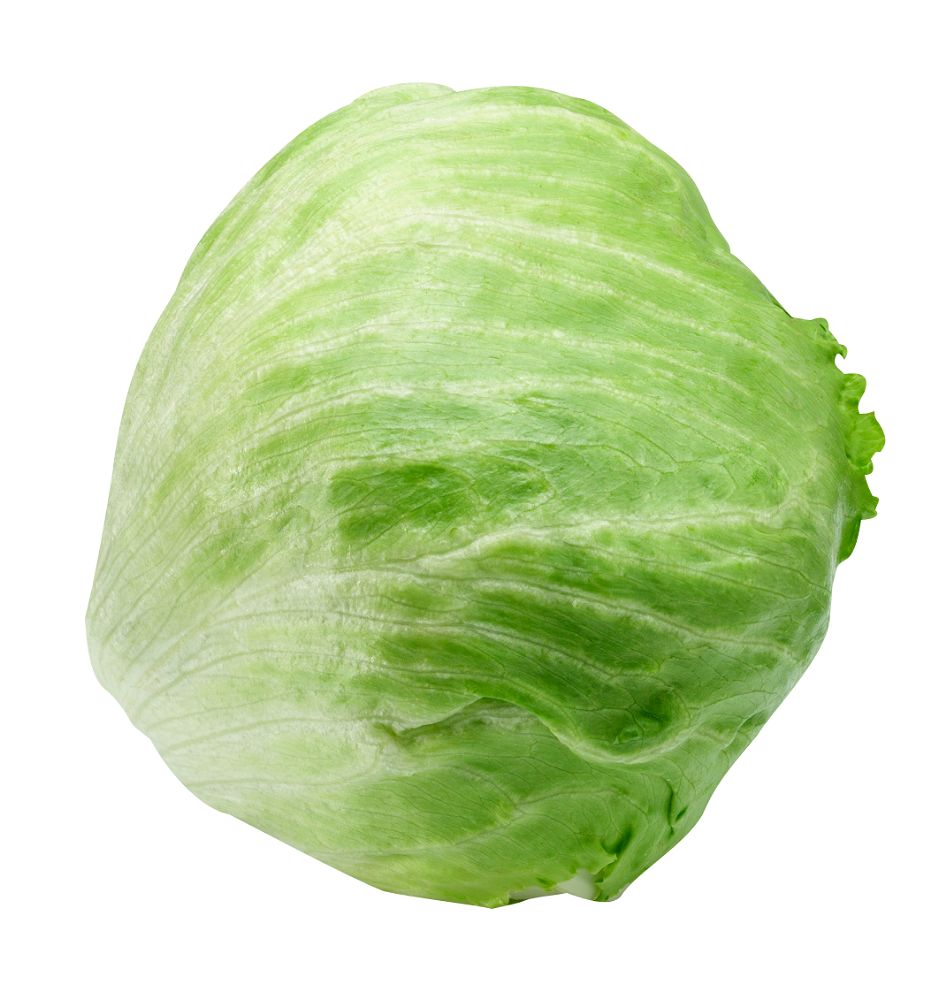5448e178ca330dbf590df6022bb243e7.jpeg