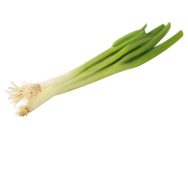 84a6ac65fa1b88ceef36f77d8c347162.jpeg
